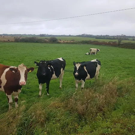 펜션 Fully Refurbished 200-year-old 트롤리