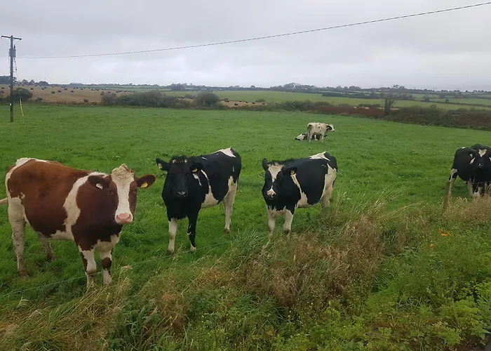 度假居 Fully Refurbished 200-year-old 特拉利